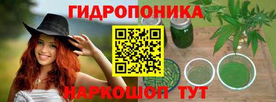 гидра Балашиха