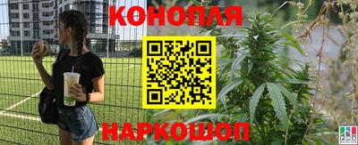 spice Балахна