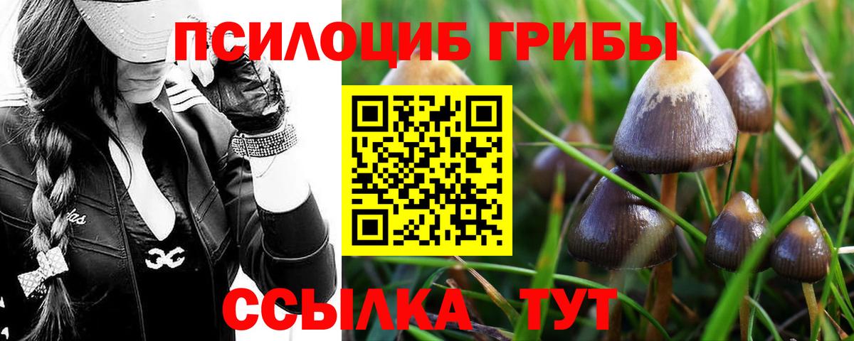 Жигулёвск  Галлюциногенные грибы мухоморы  Галлюциногенные грибы прущие грибы  Вход с VPN 